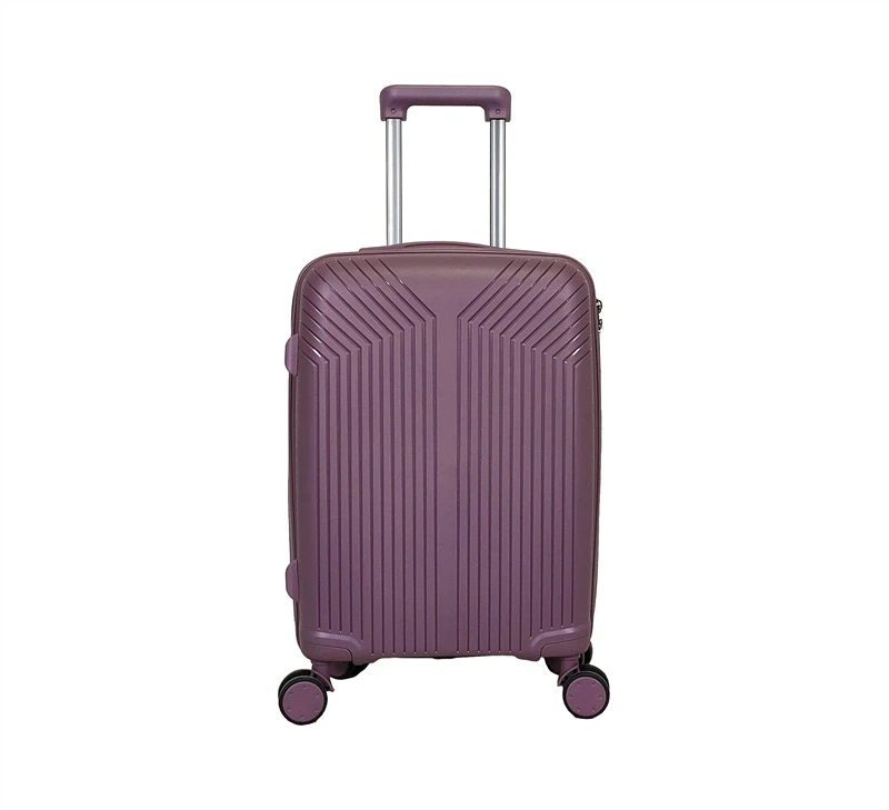 3 Pcs Pc Luggage